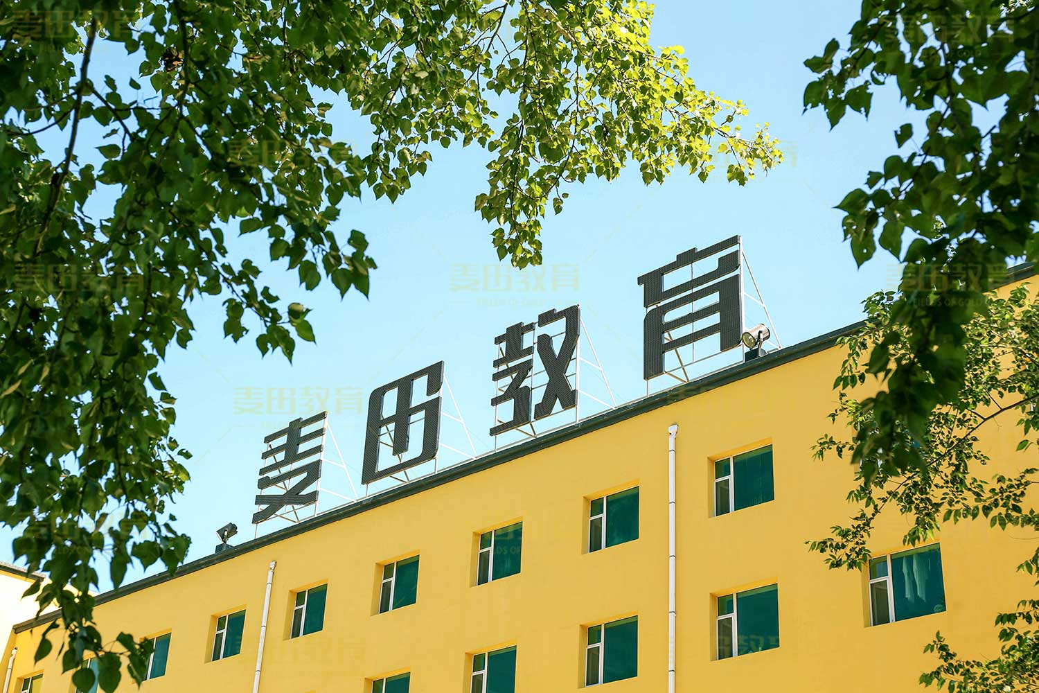 长春艺考文化课补习学校哪家好